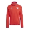 adidas FC Bayern München Pro Sweatshirt Rot - rot