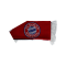 FC Bayern München Capsule Schal Rot - rot