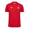 Hummel 1. FC Köln Travel T-Shirt Rot F3062 - rot