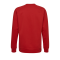 Hummel Cotton Logo Sweatshirt Rot F3062 - Rot