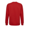 Hummel Cotton Logo Sweatshirt Kids Rot F3062 - Rot