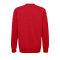Hummel Cotton Sweatshirt Kids Rot F3062 - Rot