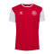 Hummel Dänemark Block T-Shirt EM 2024 Rot F3681 - rot