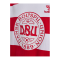 Hummel Dänemark Striped T-Shirt EM 2024 Kids Rot F3681 - rot