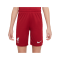 Nike FC Liverpool Short Home 2022/2023 Kids Rot F608 - rot