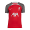 Nike FC Liverpool Trainingsshirt Kids Rot F688 - rot