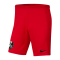 Nike SC Freiburg Short Home 2023/2024 Rot F658 - rot