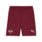 PUMA RB Leipzig Short Away 2024/2025 Rot F02 - rot