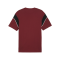 PUMA Schweiz Ftbl Archive T-Shirt EM 2024 Rot F12 - rot