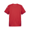 PUMA teamFINAL Trikot Rot Weiss Rot F01 - rot