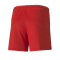 PUMA teamGOAL 23 Knit Shorts Damen Rot F01 - rot