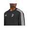 adidas Juventus Turin DNA Sweatshirt Schwarz - schwarz