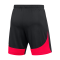 Nike Academy Pro Training Short Schwarz Rot F013 - schwarz