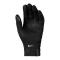Nike Academy Therma-FIT Spielerhandschuh F010 - schwarz