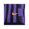 Nike Culture of Football Trikot Schwarz Lila F011 - schwarz