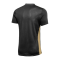Nike Park Derby IV Trikot Schwarz Gold F011 - schwarz