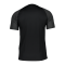 Nike Strike 22 T-Shirt Schwarz Grau F011 - schwarz