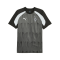 PUMA Borussia Mönchengladbach Prematch Shirt 2023/2024 Schwarz F05 - schwarz