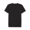 PUMA BVB Dortmund Ftbl T-Shirt Schwarz F06 - schwarz