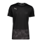 PUMA Football NEXT Graphic T-Shirt Schwarz F01 - schwarz