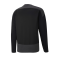 PUMA teamGOAL 23 Training Sweatshirt Schwarz F03 - schwarz
