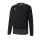PUMA teamGOAL 23 Training Sweatshirt Schwarz F03 - schwarz