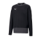 PUMA teamGOAL 23 Training Sweatshirt Kids F03 - schwarz