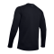 Under Armour Coldgear Base 4.0 Sweatshirt F001 - schwarz