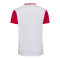 Hummel Dänemark Fan Blockshirt Weiss Rot F9160 - weiss