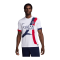 Nike Paris St. Germain Trikot Away 2024/2025 Weiss F101 - weiss