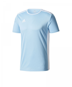 adidas-entrada-18-trikot-kurzarm-hellblau-weiss-teamsport-mannschaft-ausstattung-shirt-shortsleeve-cd8414.png