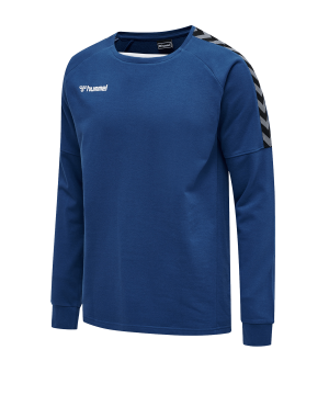 hummel-authentic-training-sweatshirt-f7045-205373-teamsport.png