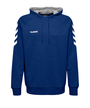 10124709-hummel-cotton-hoody-kids-blau-f7045-203509-fussball-teamsport-textil-sweatshirts.png