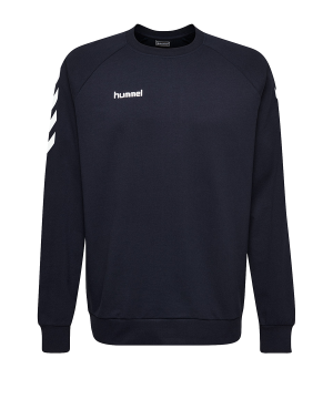 10124821-hummel-cotton-sweatshirt-kids-blau-f7026-203506-fussball-teamsport-textil-sweatshirts.png