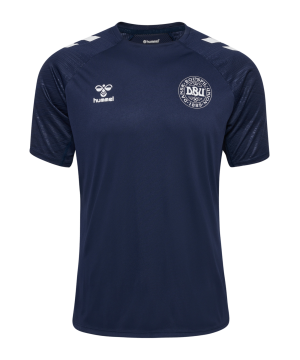 hummel-daenemark-pro-training-shirt-em24-blau-f7026-225575-fan-shop_front.png