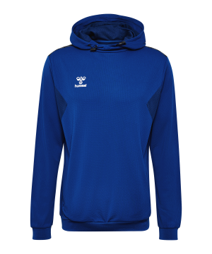 hummel-hmlauthentic-pl-hoody-blau-f7045-219976-teamsport_front.png