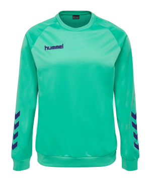 hummel-hmlpromo-poly-sweatshirt-blau-f6507-205874-fussballtextilien_front.png
