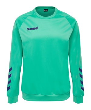 hummel-hmlpromo-poly-sweatshirt-kids-blau-f6507-205875-fussballtextilien_front.png