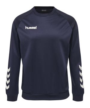 hummel-promo-sweatshirt-kids-blau-f7026-205875-teamsport_front.png