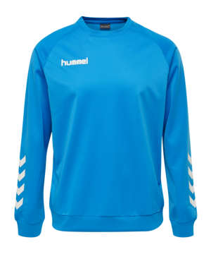 hummel-hmlpromo-sweatshirt-blau-f7428-205874-fussballtextilien_front.png