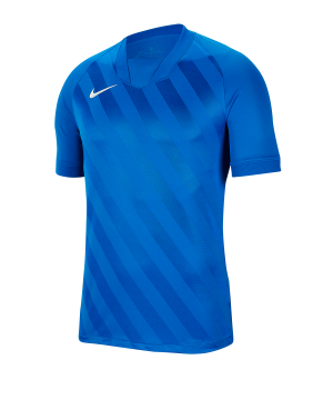 nike-challenge-iii-trikot-kurzarm-blau-f463-fussball-teamsport-textil-trikots-bv6703.png