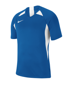 nike-striker-v-trikot-kurzarm-blau-f463-fussball-teamsport-textil-trikots-aj0998.png