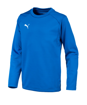 puma-liga-training-sweatshirt-kids-blau-f02-teampsort-mannschaft-ausruestung-655670.png