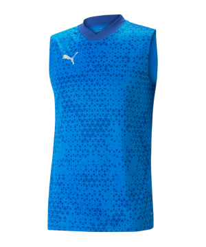 puma-teamcup-trainingssweatshirt-blau-f02-657985-teamsport_front.png