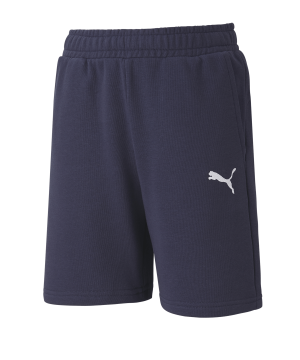 puma-teamgoal-23-casuals-shorts-kids-blau-f06-fussball-teamsport-textil-shorts-656712.png