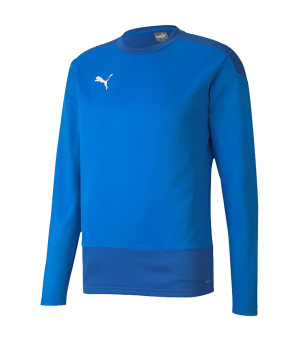 puma-teamgoal-23-training-sweatshirt-blau-f02-fussball-teamsport-textil-sweatshirts-656478.png