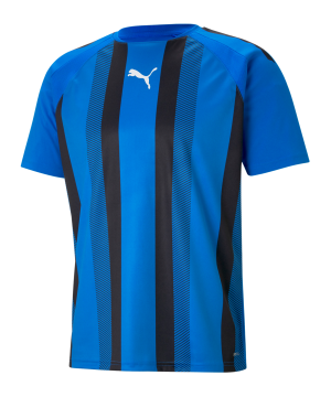 puma-teamliga-striped-trikot-blau-schwarz-f02-704920-teamsport_front.png