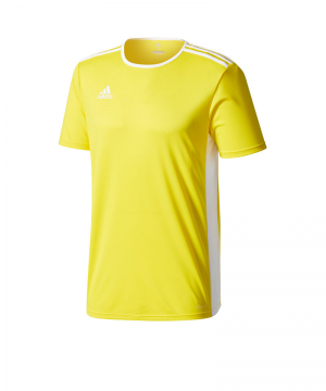 adidas-entrada-18-trikot-kurzarm-gelb-weiss-teamsport-mannschaft-ausstattung-shirt-shortsleeve-cd8390.png