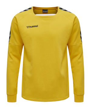 hummel-authentic-training-sweatshirt-f5001-205373-teamsport_front.png