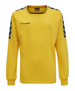hummel-authentic-training-sweatshirt-kids-f5001-205374-teamsport_front.png